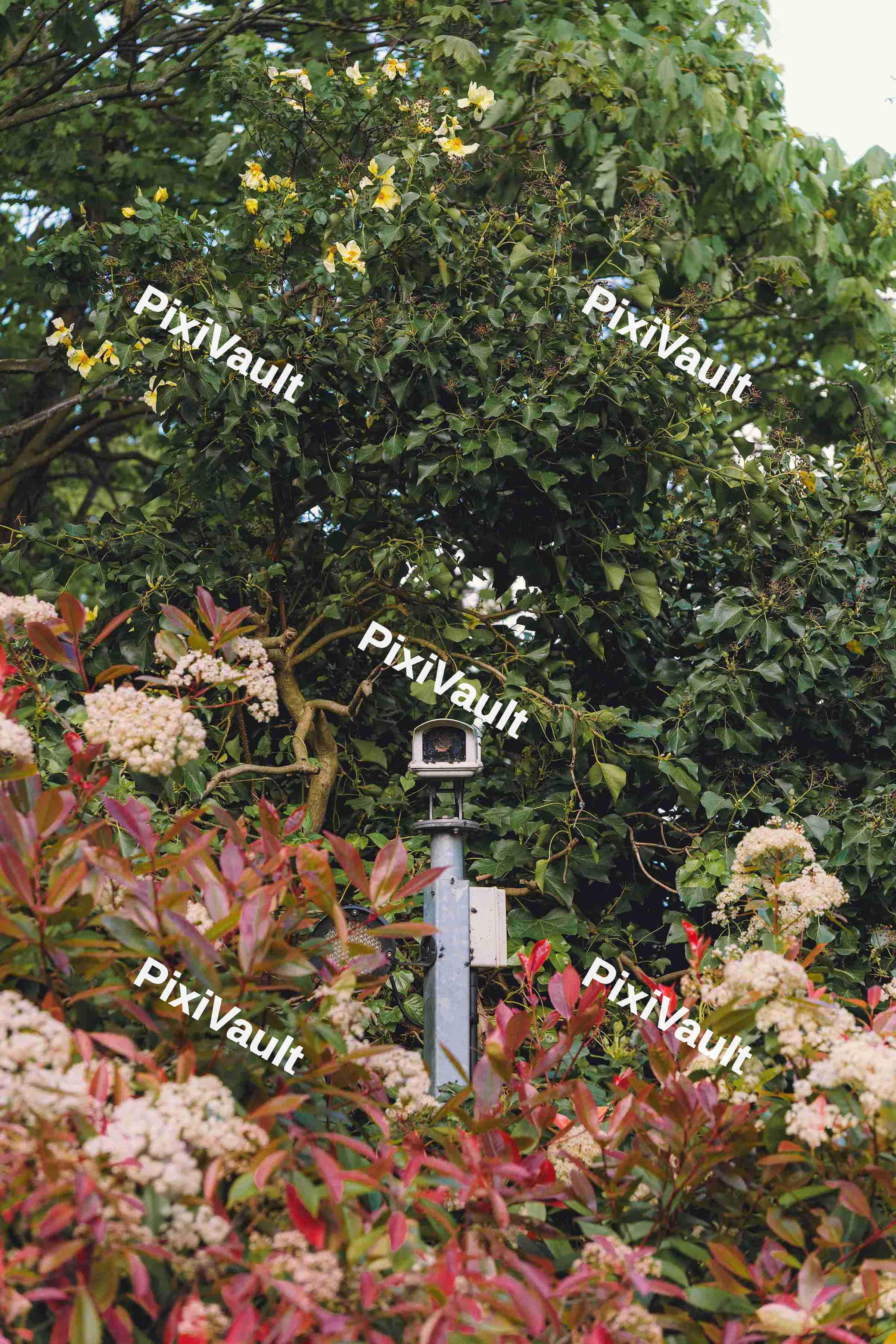 CCTV